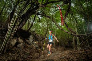 BIB: 
                            <button type="button" onclick="openModal(22179103)" class="btn btn-primary btn-sm float-right btn-popup" data-toggle="modal" data-target=".modal-high-quality">
                        <i class="fas fa-shopping-cart"></i> Add to Cart
                    </button>
                                            <button type="button" onclick="isThisMe(22179103, true)" class="btn btn-success btn-sm float-right btn-popup btn-isme hidden" data-toggle="tooltip" data-placement="bottom" title="นี่คือรูปของคุณใช่ไหม คลิกที่นี่เพื่อเอาเข้าอัลบั้ม">
                        <i class="fas fa-plus"></i> Add to album
                    </button>
                    <button type="button" onclick="isThisMe(22179103, false)" class="btn btn-warning btn-sm float-right btn-popup btn-isnotme hidden">
                        <i class="fas fa-ban"></i> Remove from album
                    </button>